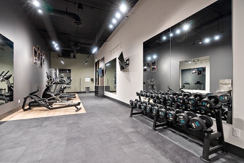 A gym with a row of dumbbells on the right and a row of treadmills on the left.at Raymond Block, Edmonton, T6E 3R7