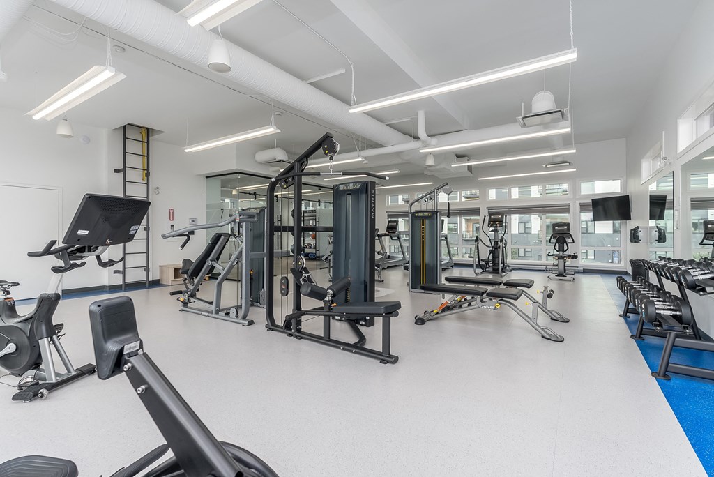 a gym with weights and other exercise equipment in a large room