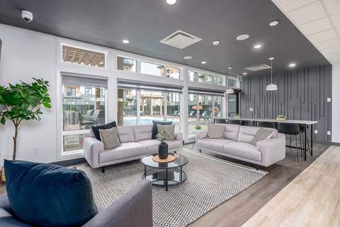 a living room with couches and a table