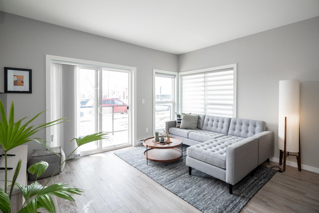 Interior - wide shot of living room