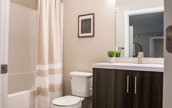 A bathroom with a toilet, sink, and shower curtain.