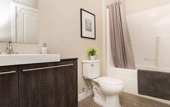 A white toilet sits next to a sink in a bathroom.