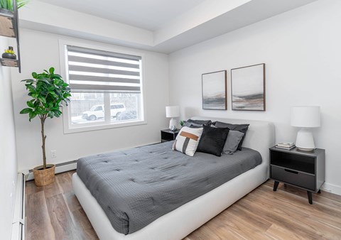A bedroom with a bed, nightstand, and a plant.at Vibe Apartments at Arbour Lake, Calgary Alberta