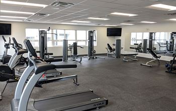 A gym with treadmills, weights, and exercise equipment.
