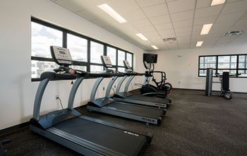 A row of treadmills are lined up in a gym.