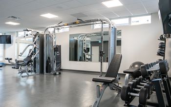 A gym with a variety of equipment including a squat rack, bench, and weights.