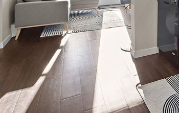 A room with a wooden floor and a rug.