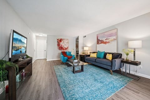 A living room with a blue rug and a grey couch.