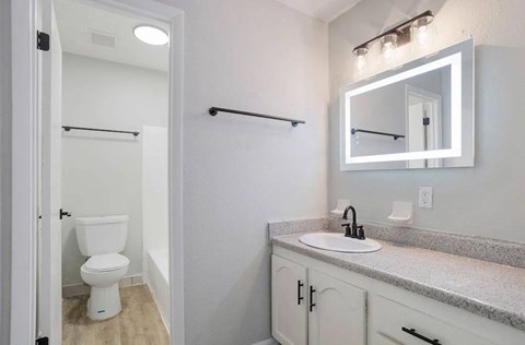 A white toilet is in a small bathroom with a sink and mirror at The Onyx Hoover Apartments, Hoover, AL