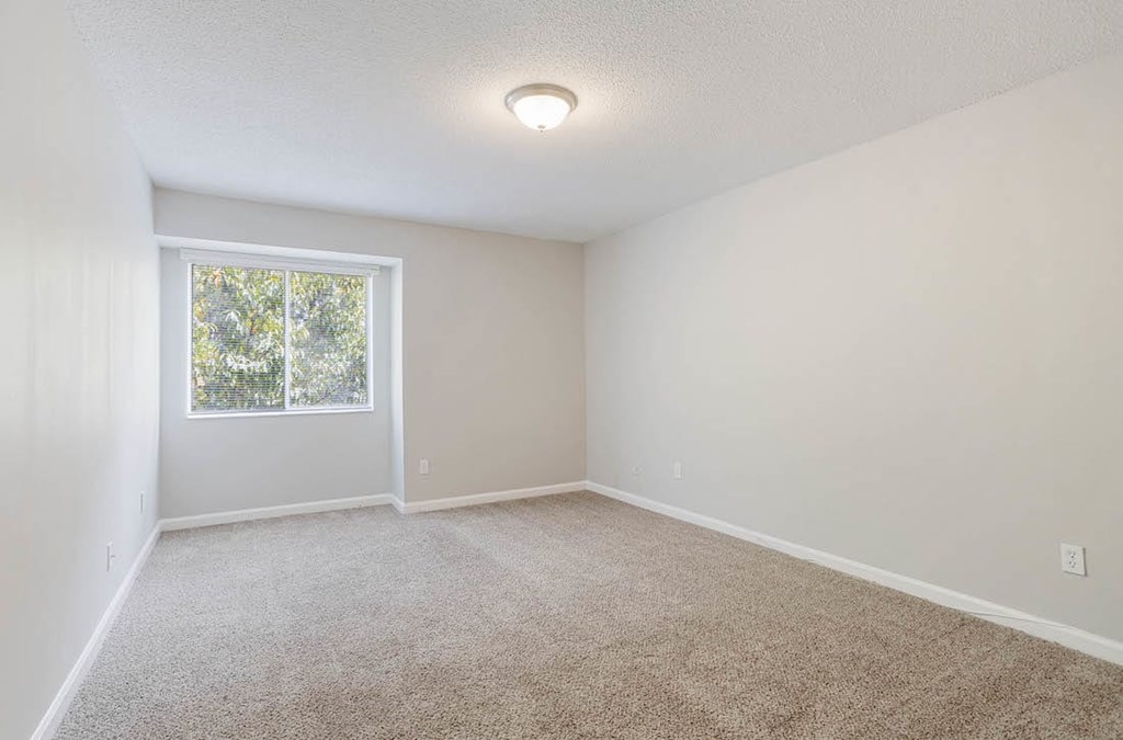 A room with a carpeted floor and a window. A room with a carpeted floor and a window at The Onyx Hoover Apartments, Hoover, AL