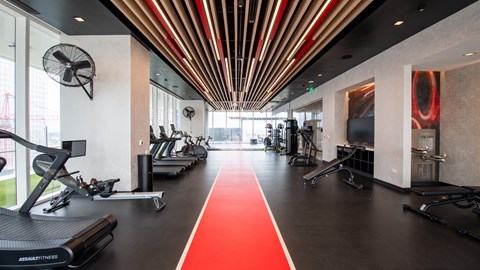 A gym with a red carpet leading to treadmills and exercise equipment.