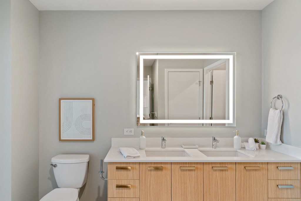 a bathroom with a sink and a mirror and a toilet