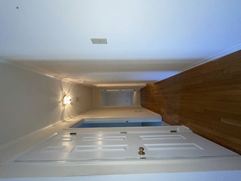 A white door with a keyhole is in the middle of a room with a wooden wall and a small pool.