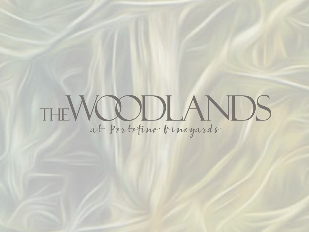 a white silk background with the wordlands logo