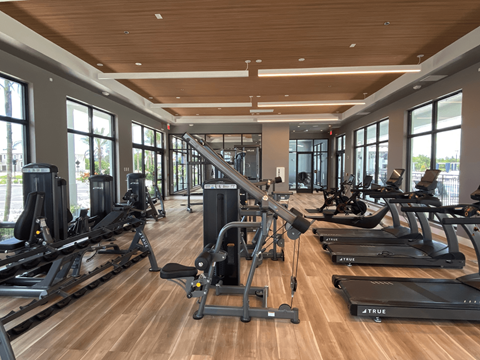 Modern Fitness Center at The Orchard at Portofino Vineyards, Fort Myers, 32149