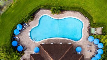 A large blue swimming pool surrounded by a grassy area and a few trees.