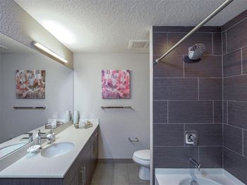 a bathroom with a sink and a toilet and a shower