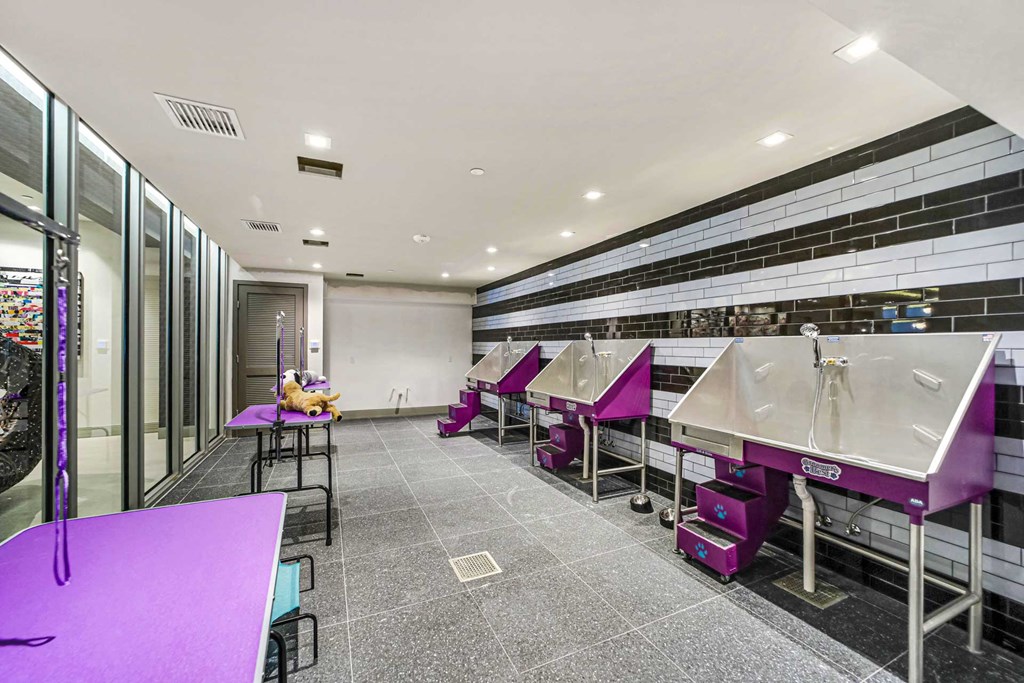Pet Spa at Quantum Apartments, Fort Lauderdale, FL, 33304