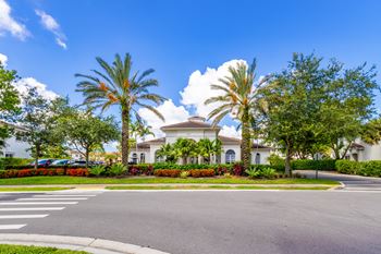 A large white house with a palm tree in front.