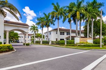 A street view of a residential area with palm trees and a sign that reads "The Falls.".