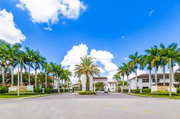 A street view of a residential area with palm trees and houses.