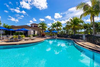A large swimming pool surrounded by palm trees and lounge chairs.