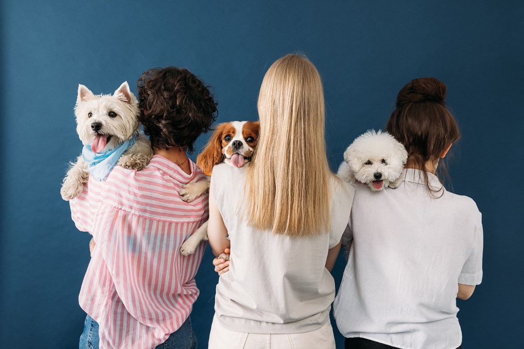 four women with dogs standing in front of a blue wall