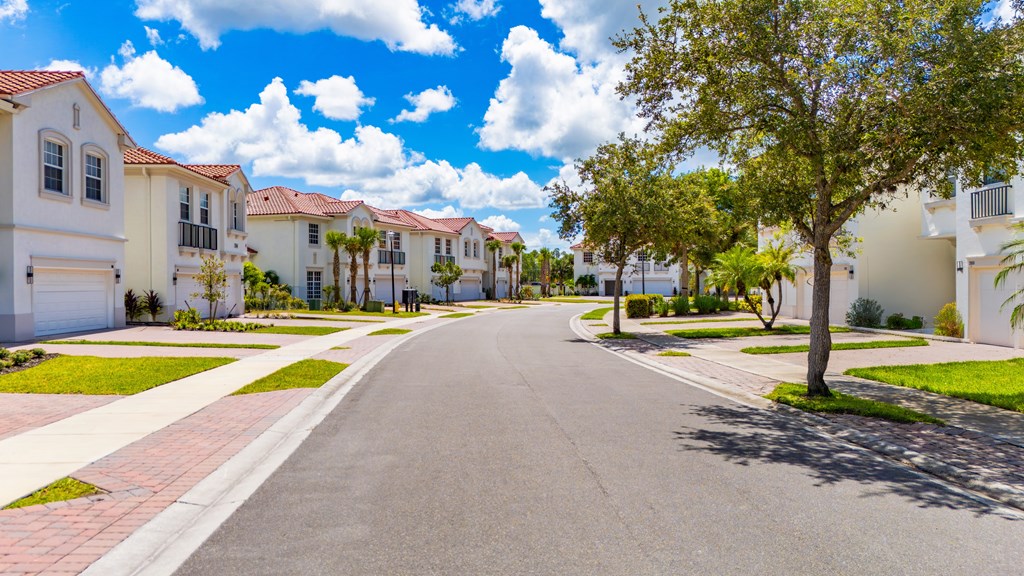 A tree stands on the side of a street lined with houses.