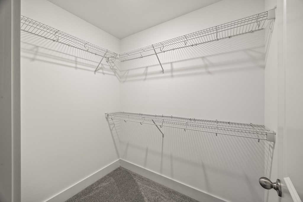 A white laundry room with a metal rack and a carpeted floor.