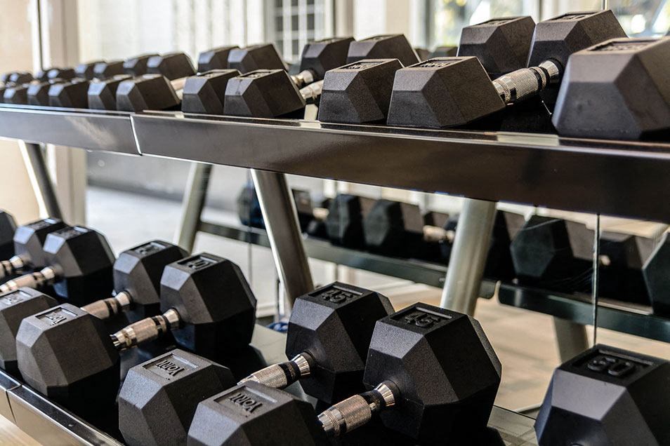 a bunch of weights on a rack in a gym