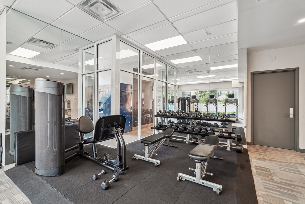 a gym with weights machines and glass walls