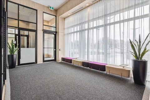 A room with a grey carpet and a row of benches with purple cushions.