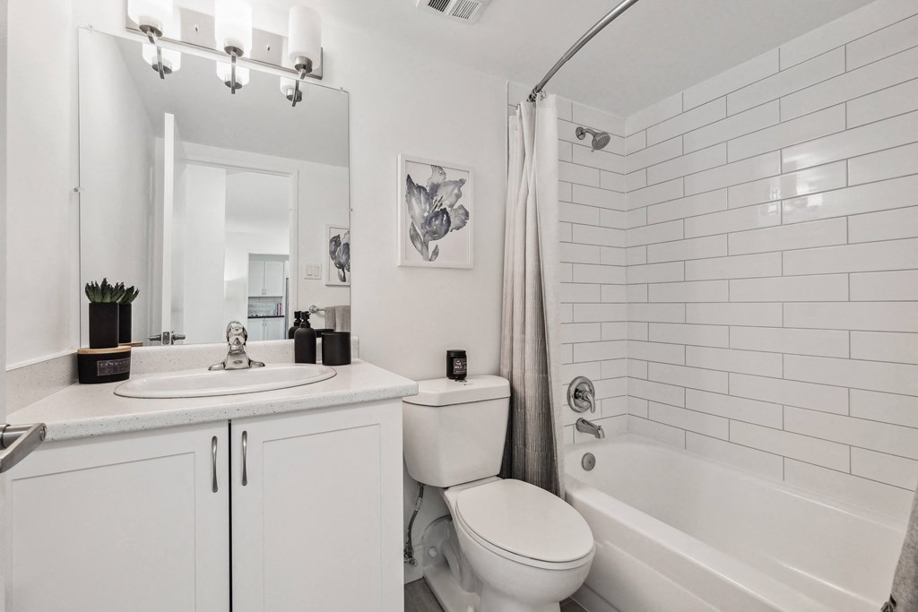 a white bathroom with a shower toilet and sink