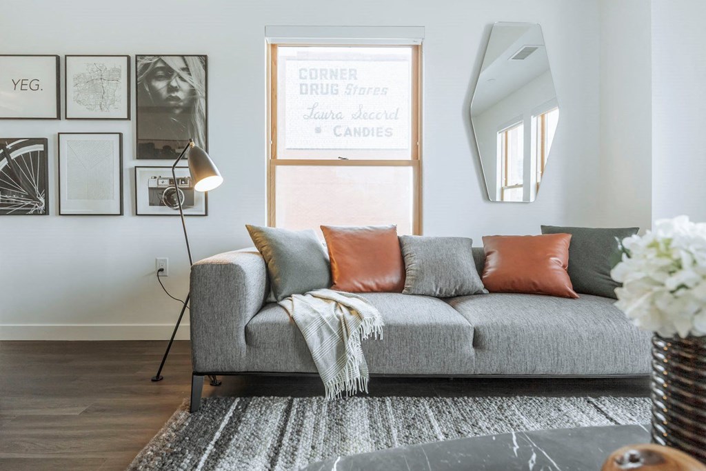a living room with a gray couch and pillows    and a rug
