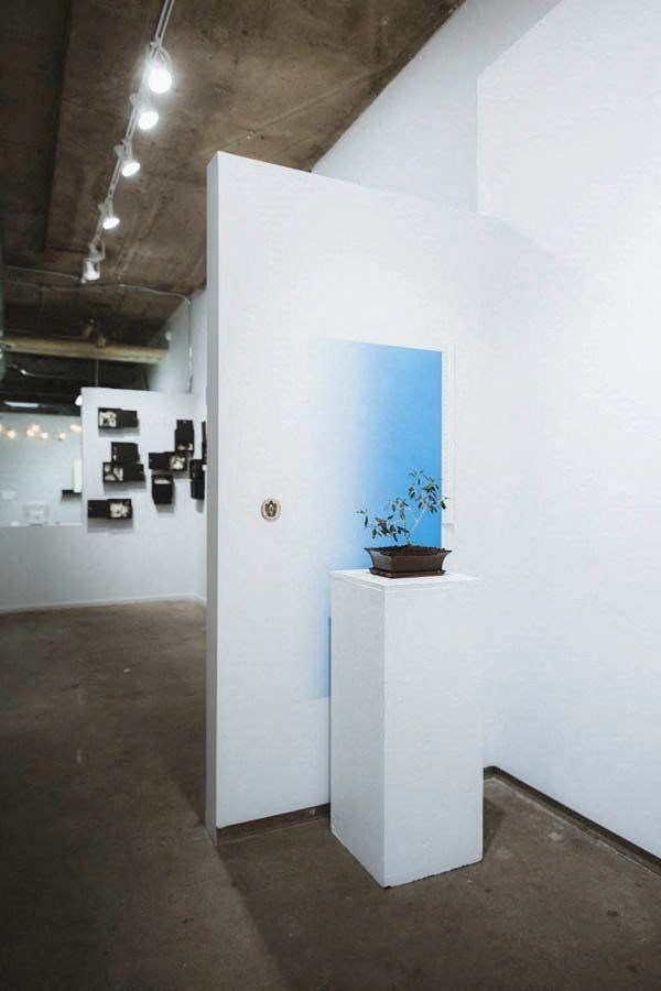 a potted plant on a white pedestal in a room