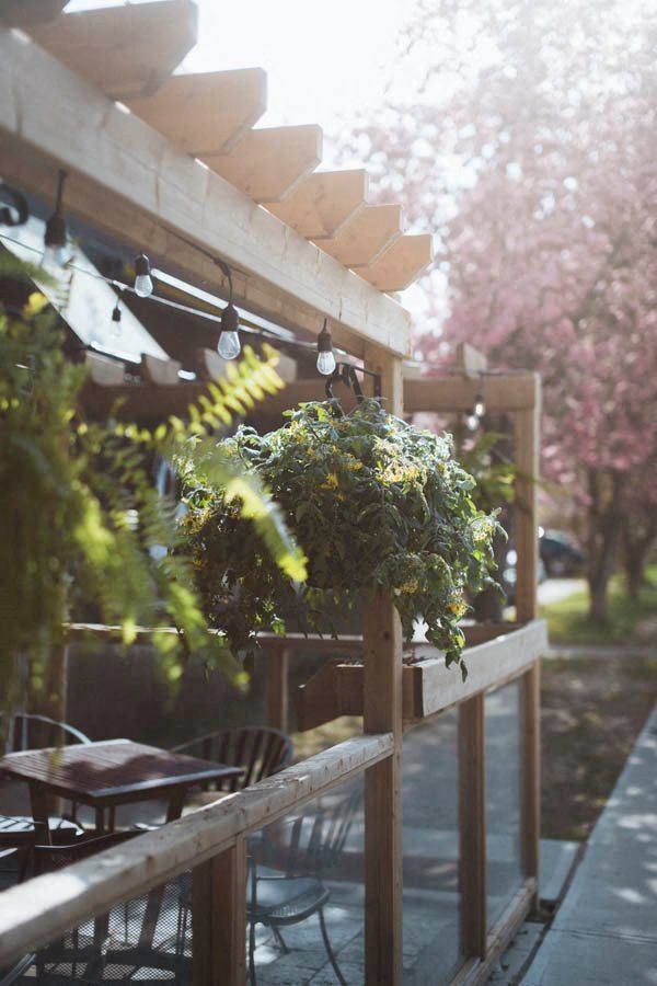 a patio with tables and chairs and a potted plant