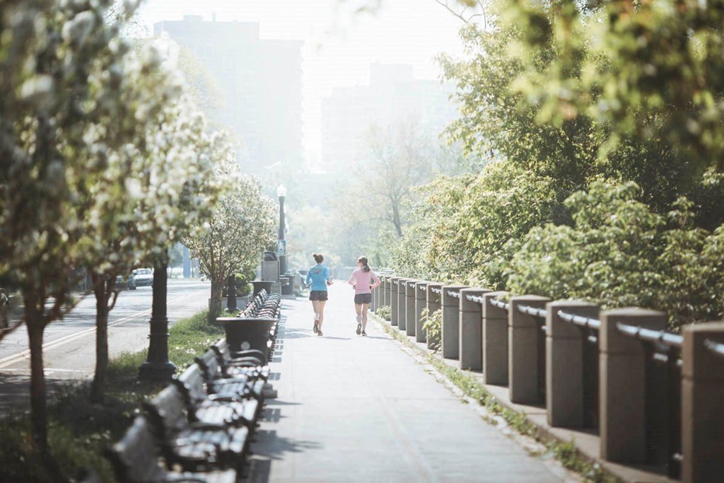 two people walking down a sidewalk in a park
