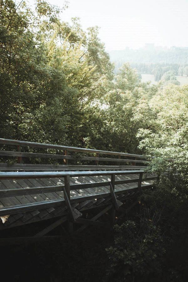 a wooden bridge over a forest with trees