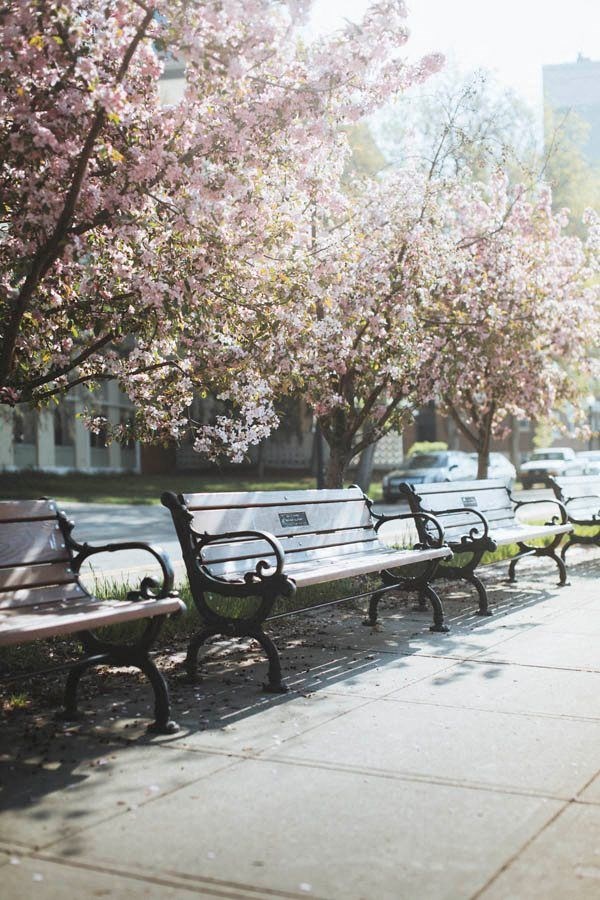 a row of park benches on a sidewalk