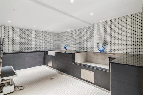 A bathroom with black and white tiles and a white floor.