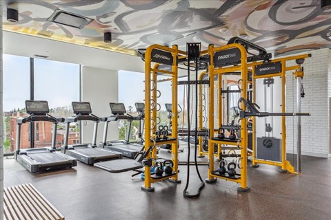 A gym with treadmills and weight machines.