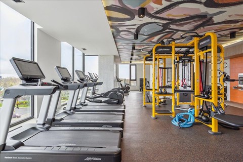A gym with treadmills and exercise equipment.