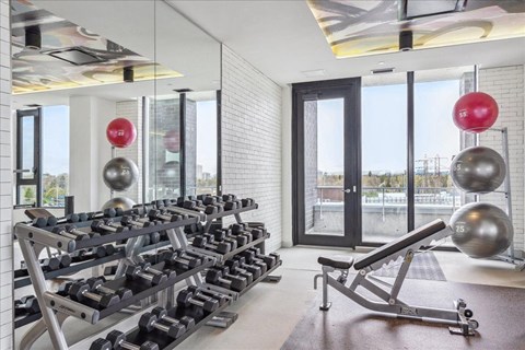 A gym with a row of dumbbells and a bench press.