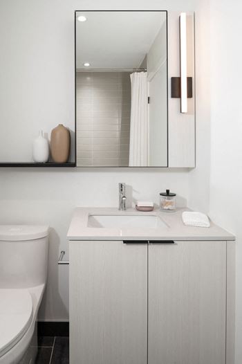 Full Height Mirror with Integrated Vanity Light and Shelf