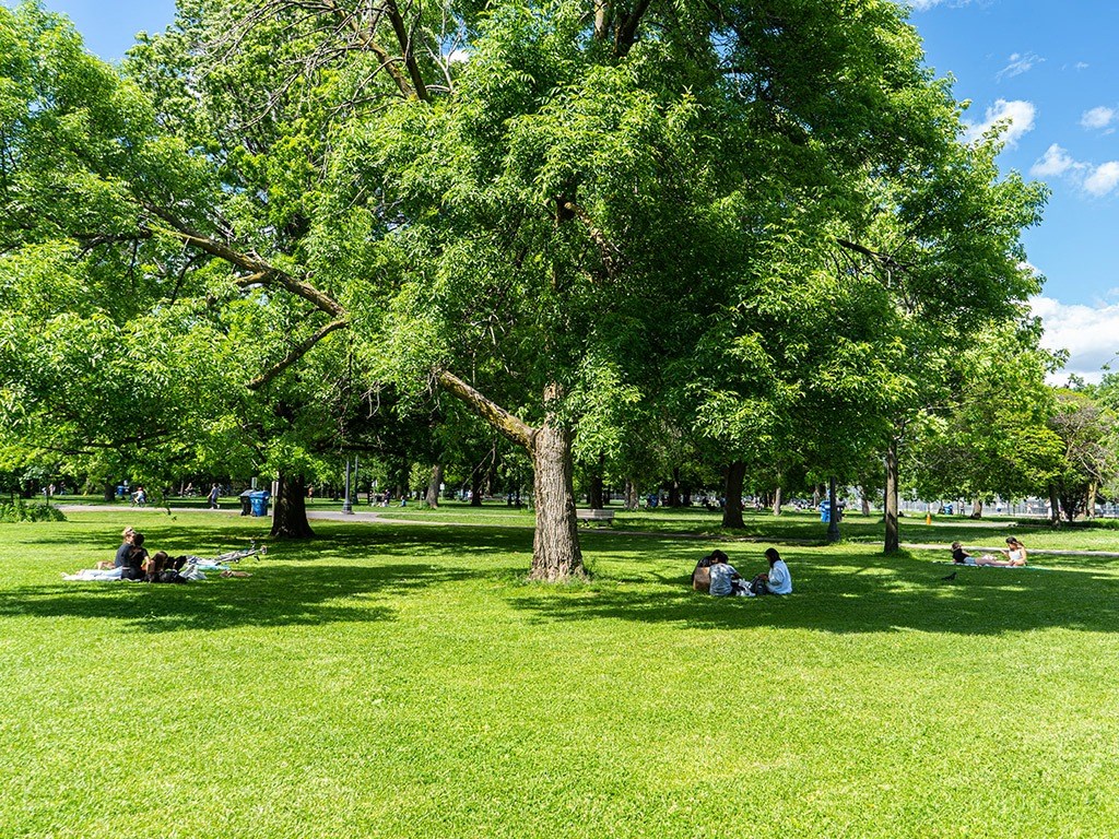 people sitting in the grass in a park