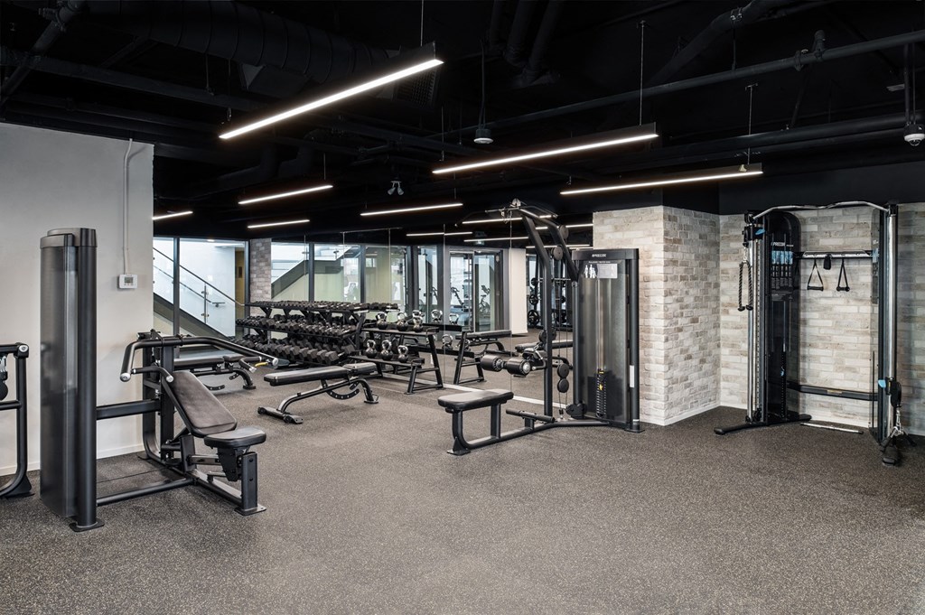 the gym is equipped with weights and cardio equipment