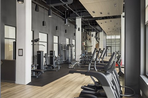 a row of cardio machines in a gym