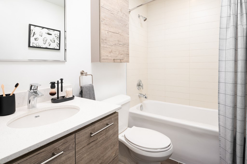 a bathroom with a sink and a toilet and a bath tub