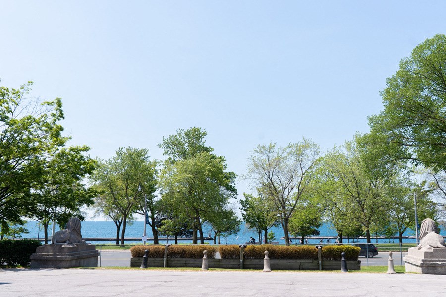 toronto waterfront