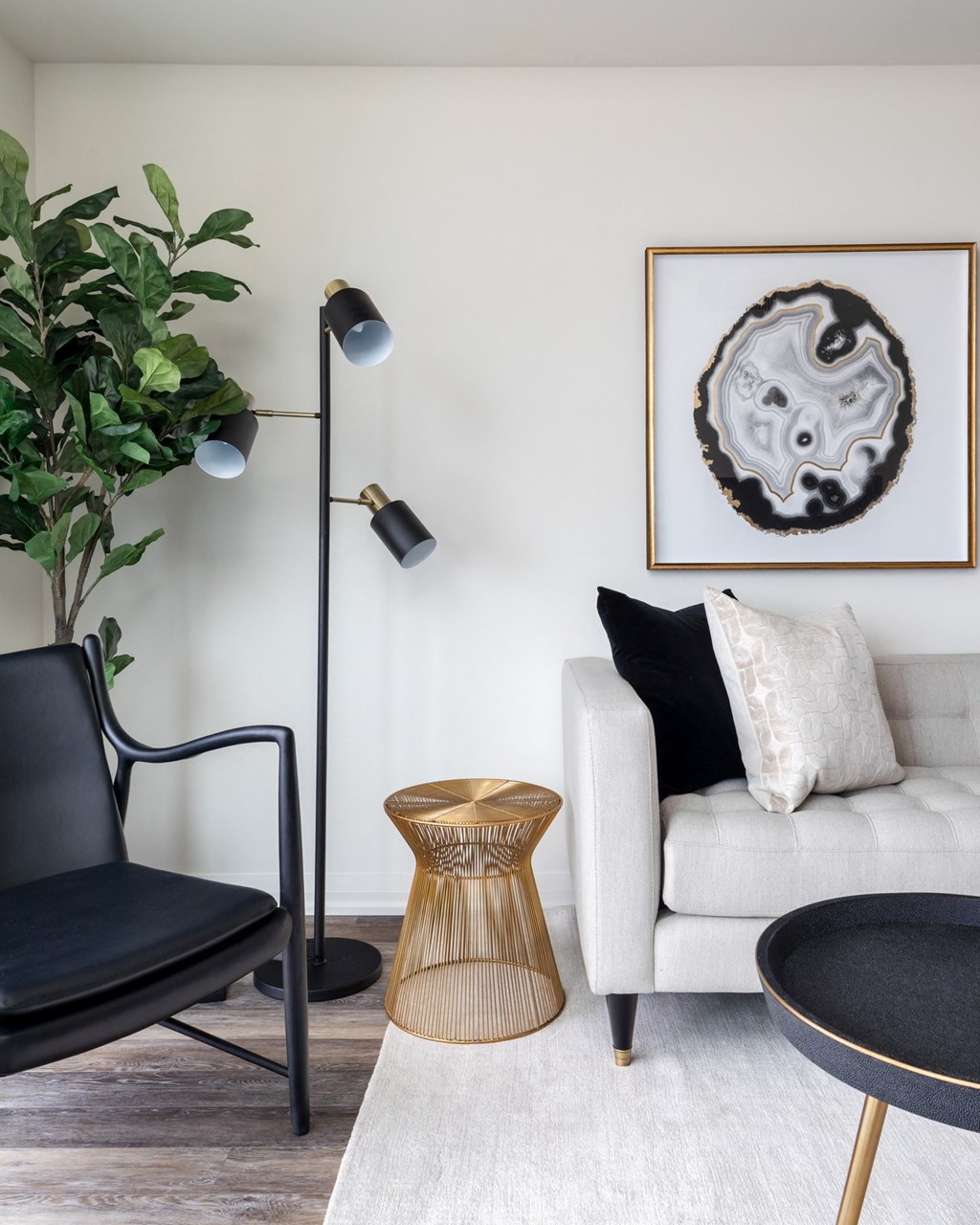 a living room with a white couch and a black chair and a plant